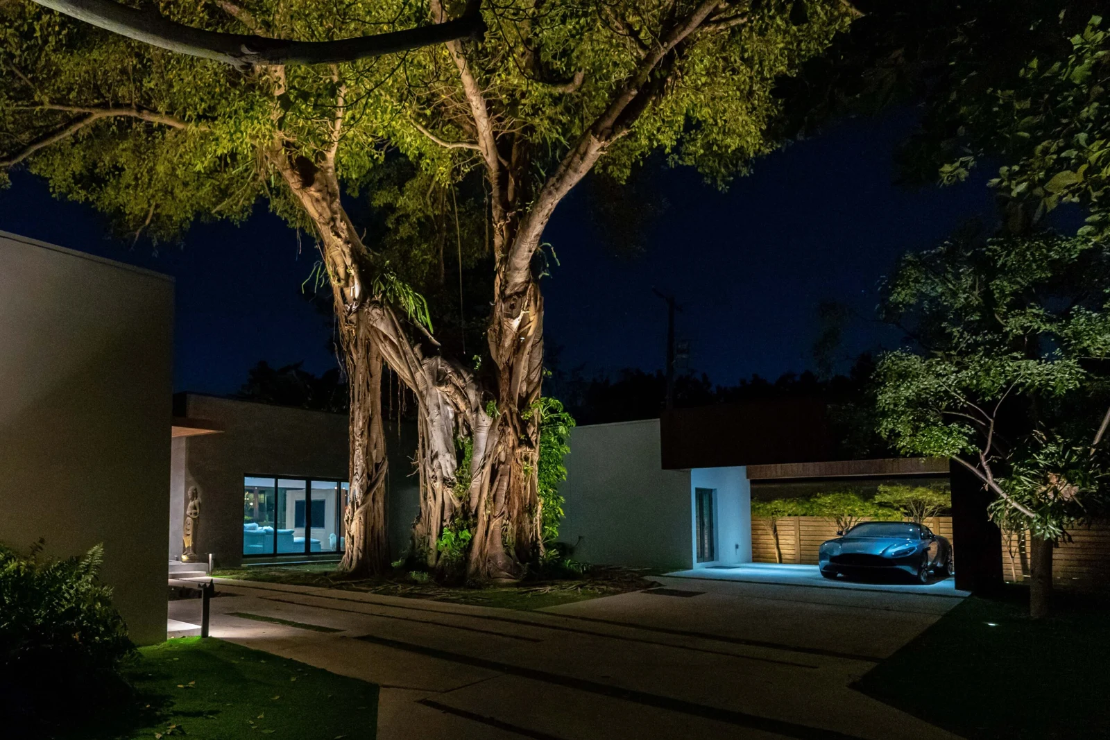 Illuminated mature tree framing a Miami Shores residence at night