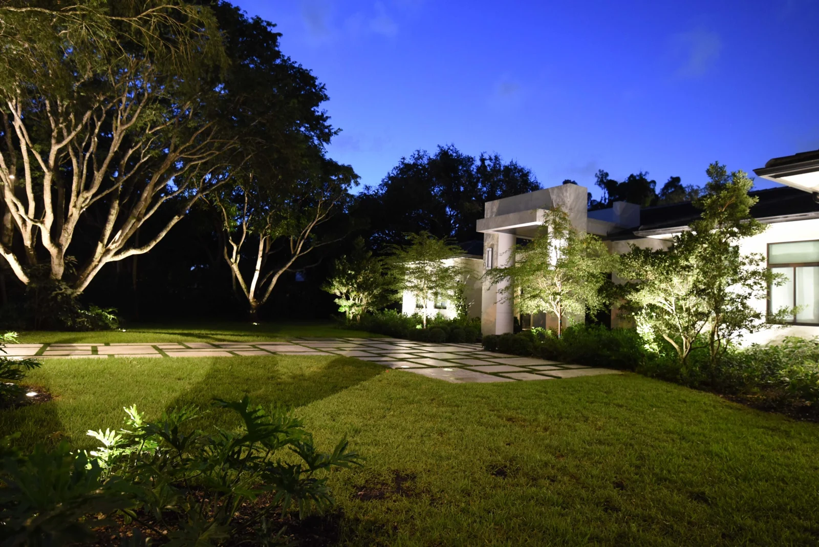 Pinecrest landscape lighting project