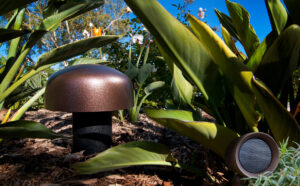 outdoor-audio-system-Miami2